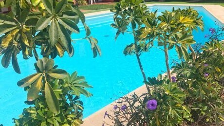 Don Gregorio Apartmentos